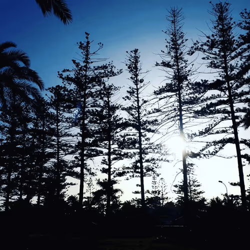 Item #99240698403131764357396770641695198226804647575338296481324929439171923148801 Media