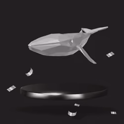 Silver Polygonal Whale