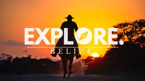 Item #55167293475857333829963200193227146355535503943447662520927477420290266365953 Media