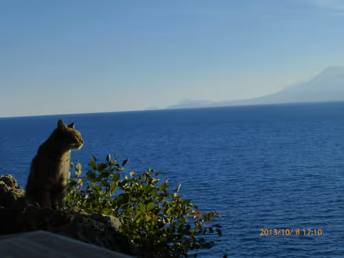 Item #53581876738018030526296833198765097323208142745183468553001527210508432703489 Media