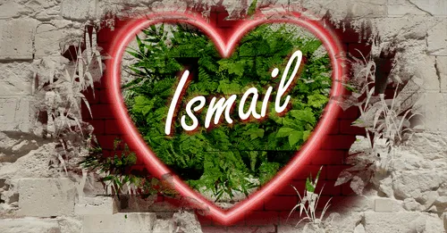 Item #68053287575525751288269231675427811746861684968250582901590729453994671865866 Media