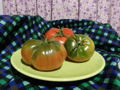 Item #75759668576286006744230728709725410338131587330078402969034405269412176199690 Media