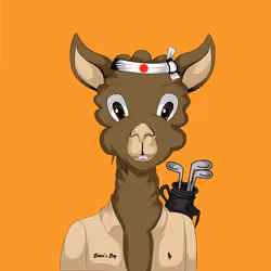Activated Golfer Alpaca
