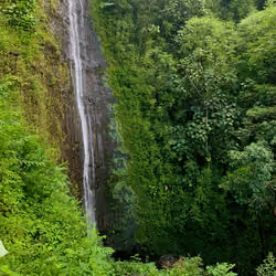 Beautiful Hawaii #20