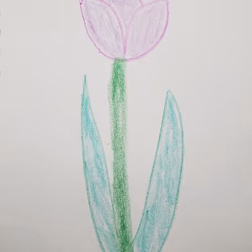 92060496778179765583685119579728199768113101913008289433487704760516859658241