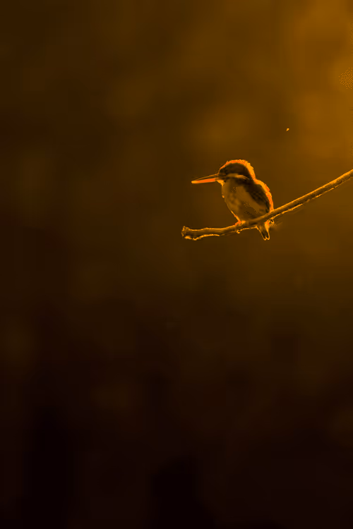 Item #61684684013370051227163866082320023750896296023852719411798081172101916524694 Media