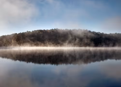 Untitled Collection #75265061