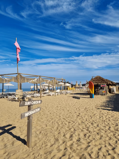 Item #25853623115809756283999021526018988123042511601659674207134061389608311062529 Media