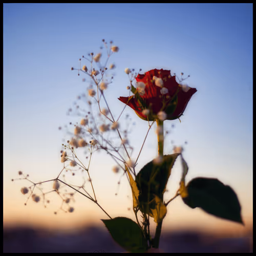 65735283901235411095565859455791530090015704811558660765095343386402433794057