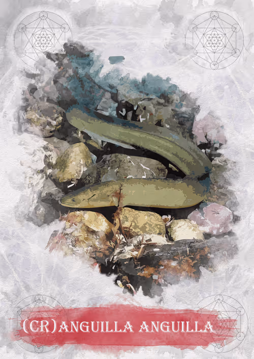 Item #108829080069432666427413762901192148077907568328307962474054884579340709789703 Media