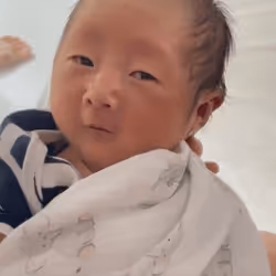 65328772626647123258890298496144794868363313141527300259855754509077650079745