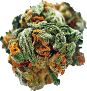 Item #7967281033894542222055828877453032867342209807388350993583448250746218217473 Media