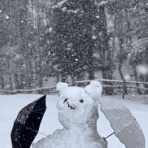 snowman