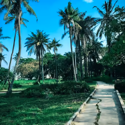 The lagoon front 1