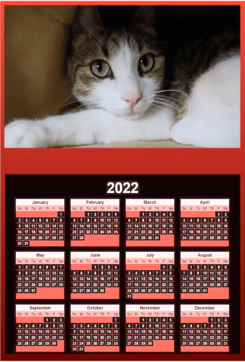 Item #97230167132133401436962891456198890559262886338841797550465898546086876807218 Media
