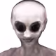 78659460725135531583023670119258347490912039647015248883718852241694704795649