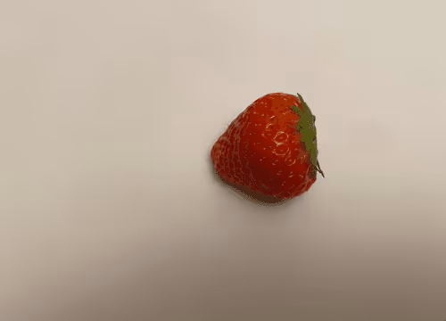 Item #69415303266762783838091346554203331785262091122040620382605275322197854912513 Media