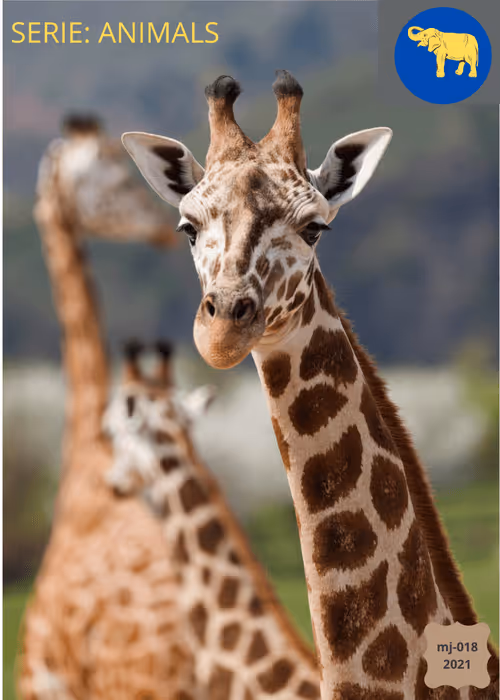 Item #18275507963027453672764924657955567223843030799966292493478830798849582301185 Media