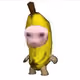 62584147944499901211617762300106484596262703492348191845398355341758838079489