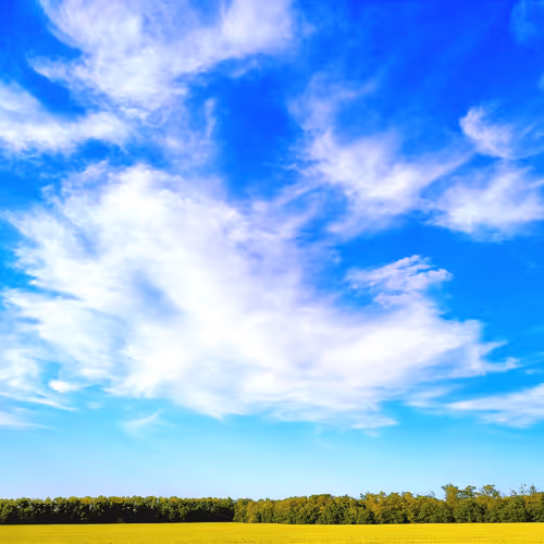 Item #86158809446700035253811448466946600963019187160188365932603695141518988804097 Media