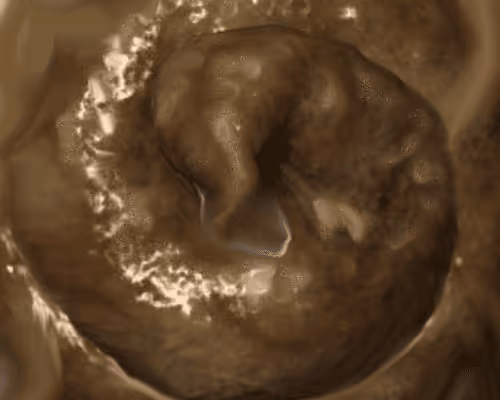 Item #7376968335142423110203002591287652173611771585353958947264139673634368126977 Media