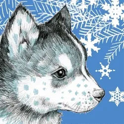 75504568957216009271532412225991883014141589967078103544589205158263655497729