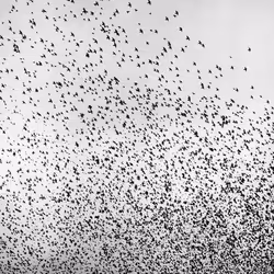 109162157552346088047496633038404394118504199992061596446112929392924431482881