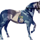 14195703436646468745199728662041842185351146069971577628603613870035528843265