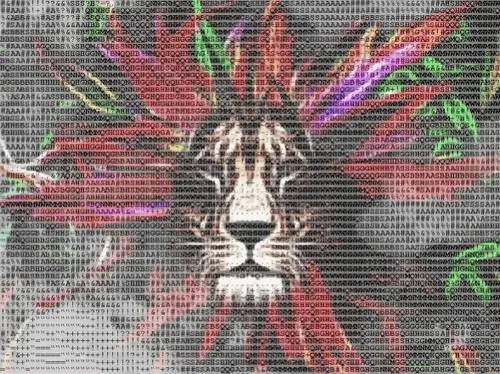 Item #91435039716910085341208423554579179297859495390497107569057972334689964261386 Media