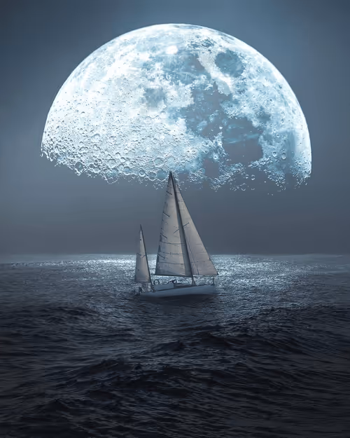 Item #83462484926125179177933876272722647181473475967863052278931111139433957556225 Media