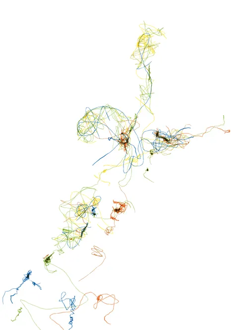 Item #61325321852403075905478544962925694605424995420085629148883383662128459153428 Media