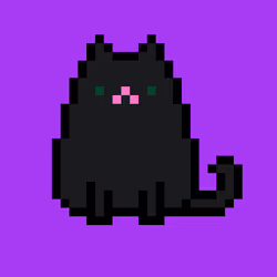 Cat AE#7