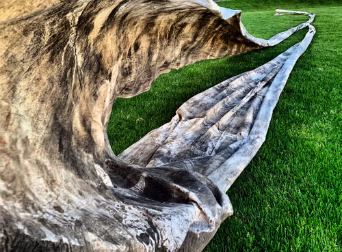 Item #9783384603778918420145046153899718198103781480462481698299604413749376581732 Media