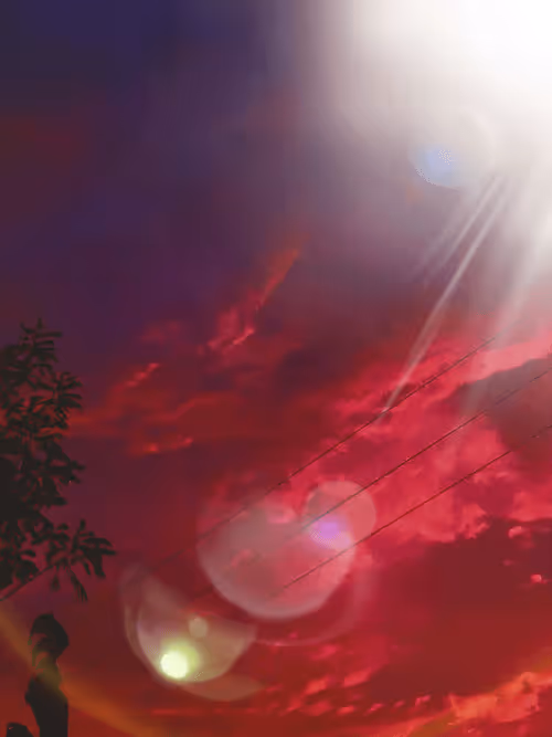 Item #83958100256980711035398363150481960541013843163520717239348696177114586546177 Media