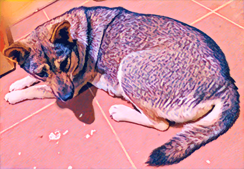 Item #74122138759525378795667626270866148487737655975912799548892276465053892345857 Media