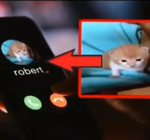 Item #100944255907451799266059540088402657668052309998080285023641344512480707089288 Media