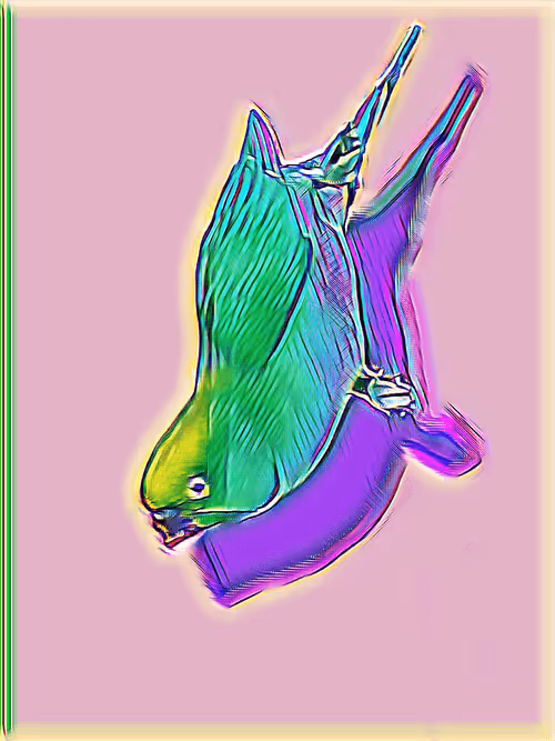 Item #104223747438996827402334393306322117808893391703647027998727742909305057181697 Media