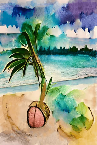 Cocoo the Coconut #6 by Pokemon Dundee