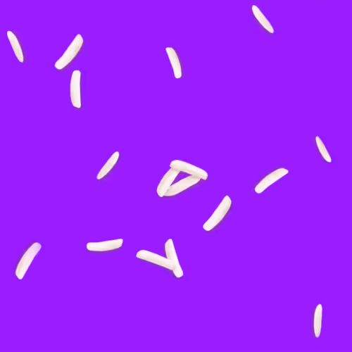 Ricegrains Zip7F9vsae
