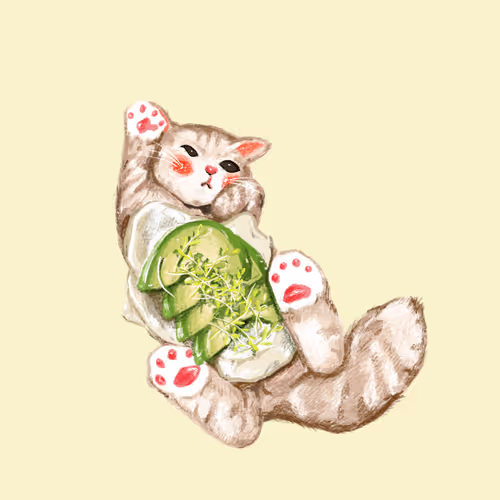 avocado  toast