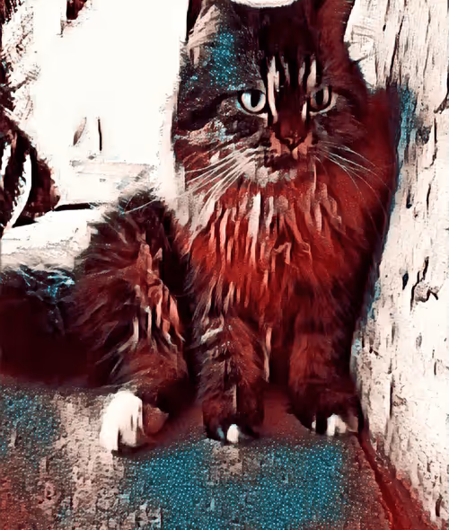 Item #29510731910910609866946623002702956419421614825625903317173568047262052909057 Media