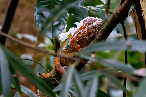 39916610678052500138596211548792698776473563312308341193271399287417334661121