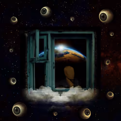 Looking From The Dark