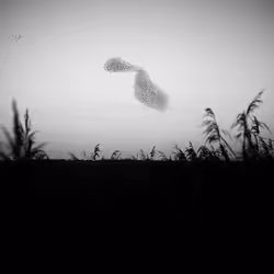 109162157552346088047496633038404394118504199992061596446112929395123454738433