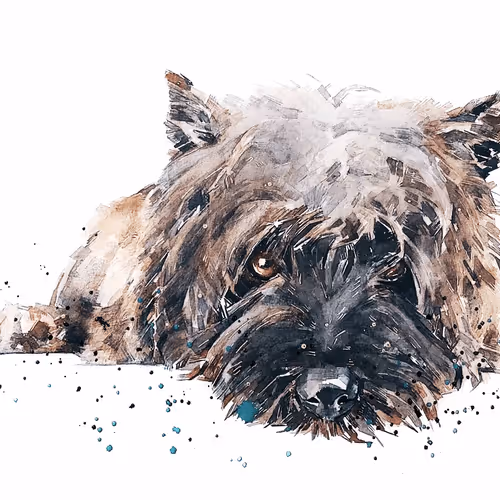 Item #15308155937593783866228062712704217529335676444312394672786838640314112016389 Media