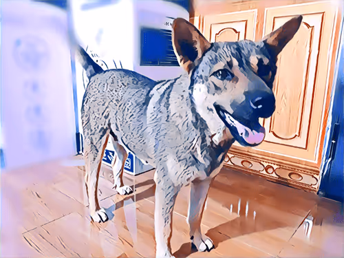 Item #74122138759525378795667626270866148487737655975912799548892275415020287819777 Media