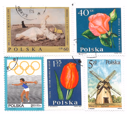 Item #13008463681025415778097378138396387110062737617569484411233010690473964082056 Media