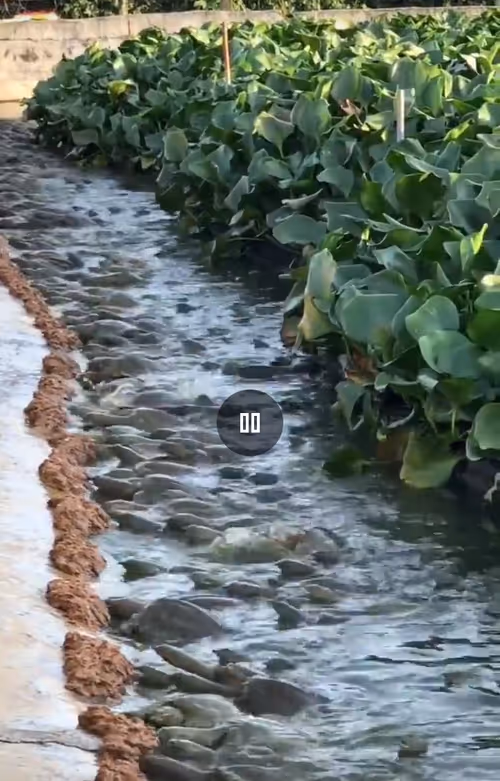 Item #54694948455783164612563415167739383812415822045212173065244330385960142372865 Media