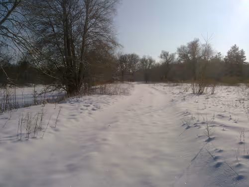 Item #41983459946325006344850038724007157971914249844141491949312562195229487136769 Media