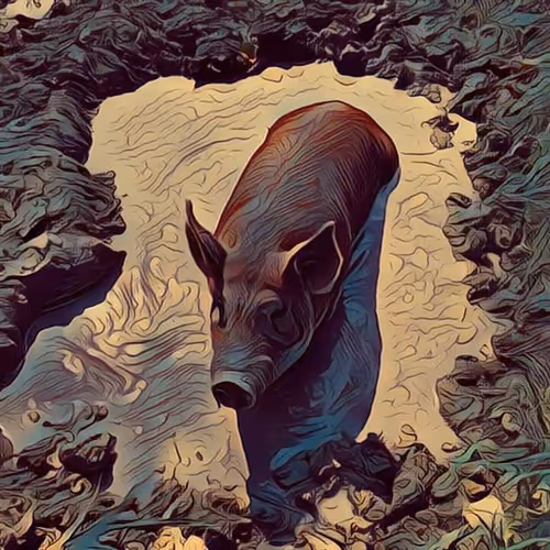 Item #47237781251135923353742950703176233702215495695736078562832556047775381323777 Media